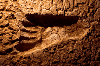  Fosil jejak kaki yang sangat langka dan informatif √ 10 Rahasia Jejak Kaki Kuno