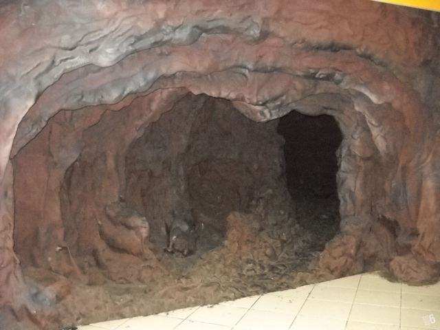 DSCN8117
