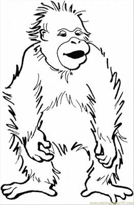 gambar orang utan kawin, gambar orang utan lucu, gambar orang gila, Mewarnai Gambar Orang Utan, bonikids.blogspot.com