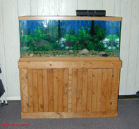 Fish Aquarium Stand Plans