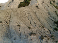 Xaragalls al Torrent de les Bruixes