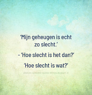 plaatjes met leuke Nederlandse quotes