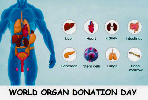 world organ donation day 2022