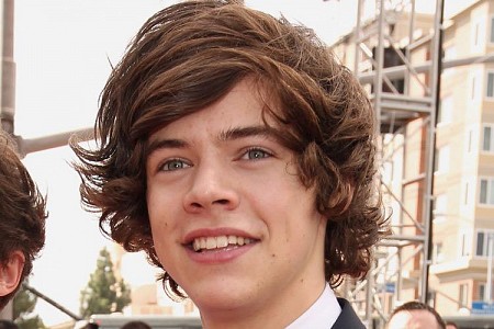 Harry Styles One Direction Hairstyles Men Hairstyles 