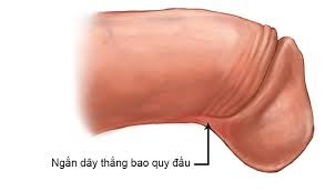 rách bao quy đầu