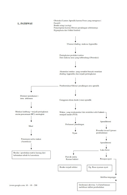 Laporan Pendahuluan (LP) Appendiksitis / Apendisitis, Laporan Pendahuluan (LP) Appendiksitis 