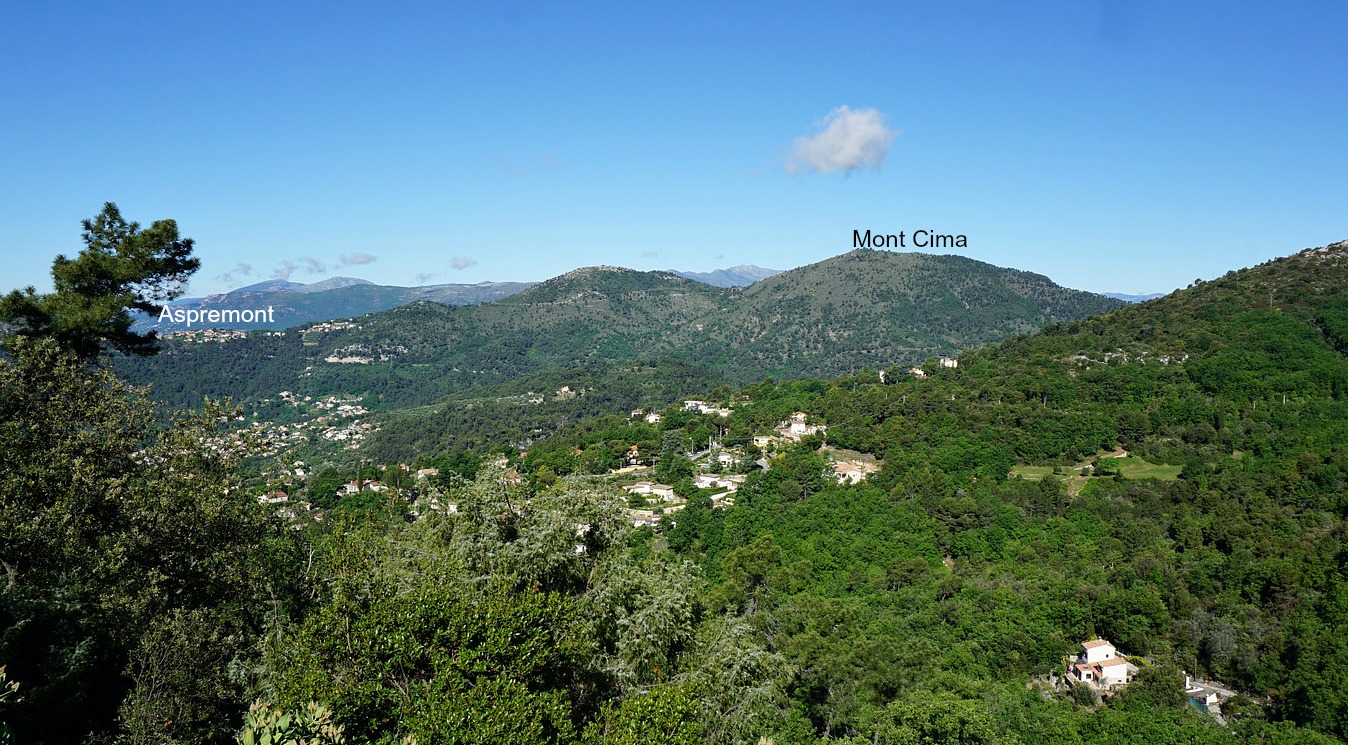 View to Mont Cima