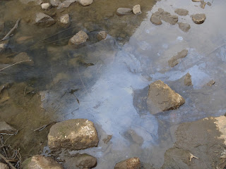 Oil Slick In Denver South Platte Feb 2011