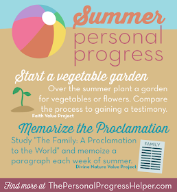 Summer Personal Progress Infographic with Fun Ideas in Each Value