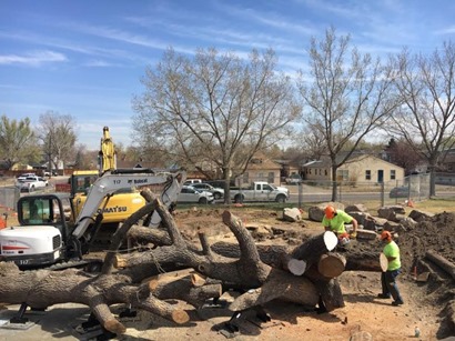 Denver natural playgrounds