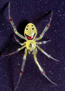 Cool smiling face on back of spider