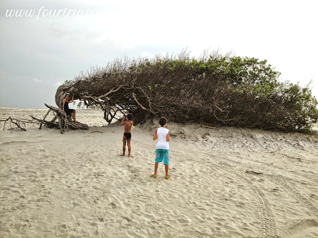 JERICOACOARA