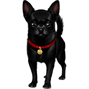 Black Chihuahua Avatar Pet