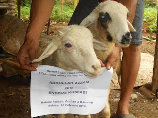 Layanan Paket Praktis Aqiqah di Kecamatan Cileungsi Kabupaten Bogor