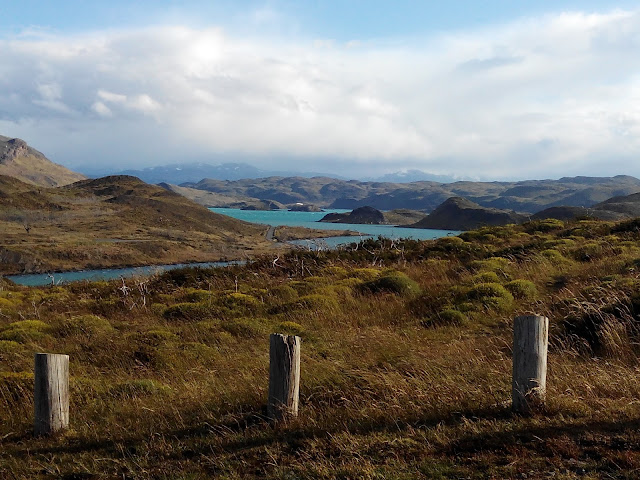 Vista del lago Pehoé