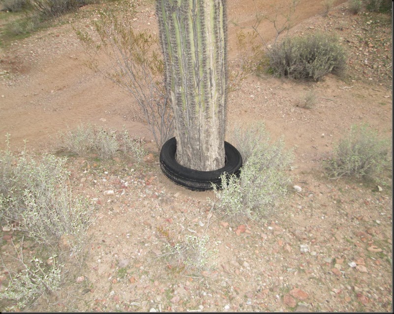 PIT_10437