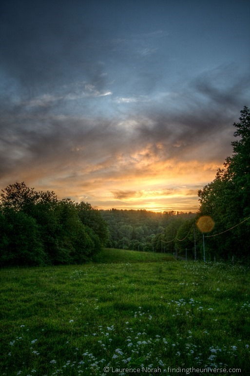 Weide in Frankreich