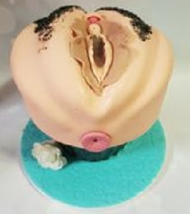 A 3-D vaginal cake