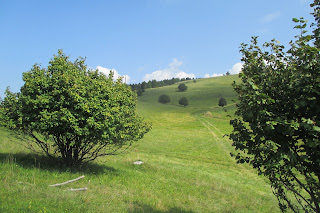 vai alle foto