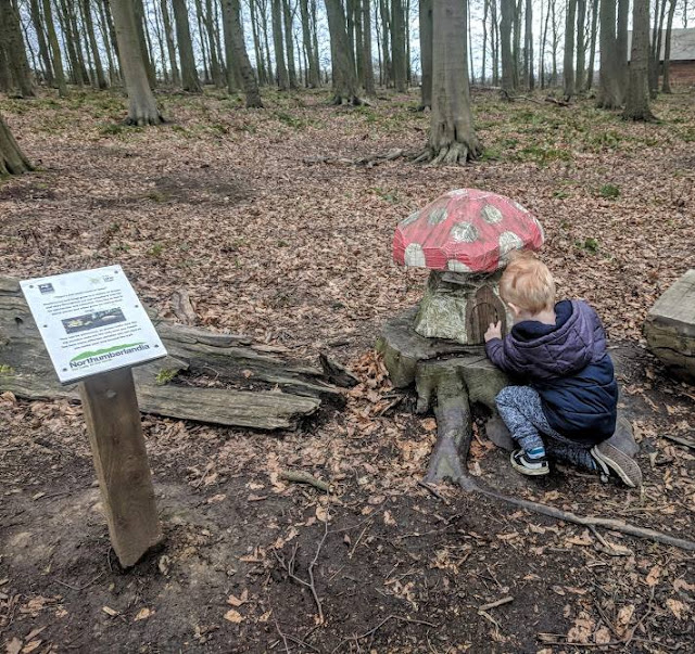 A Guide to Visiting Northumberlandia - toadstool sculpture