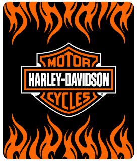 Harley Davidson Logo With Orange Flames