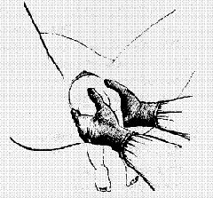 clip_image002[8]