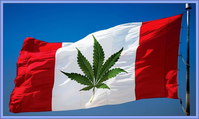 Canada  - The New Flag Bearer Of Drug Reforms