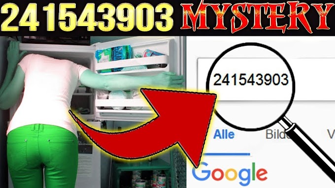  Google Search : గూగుల్‌లో 241543903 తో ఎప్పుడైనా సెర్చ్ చేశారా.?