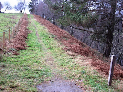 The path follows the Dee on the south side of Deeside