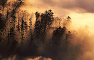 53+ Inspirasi Terbaru PhotographyWallpaper