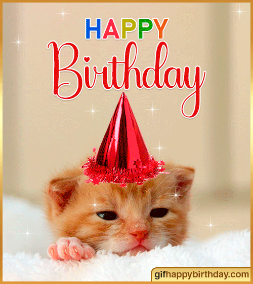 gif Happy Birthday Cat