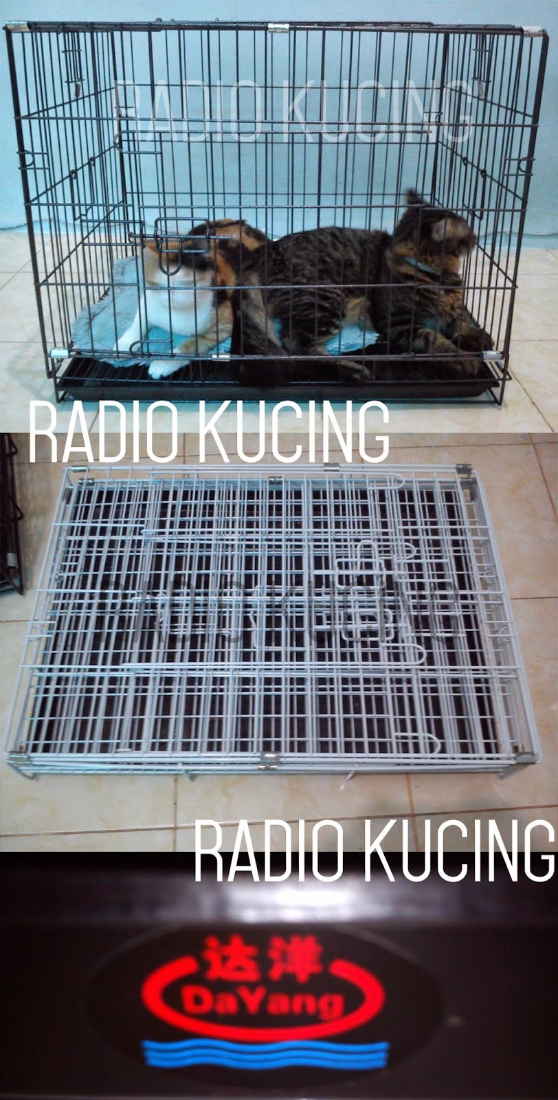 Review Kandang Kucing Merk DAYANG ~ RadioKucing.com