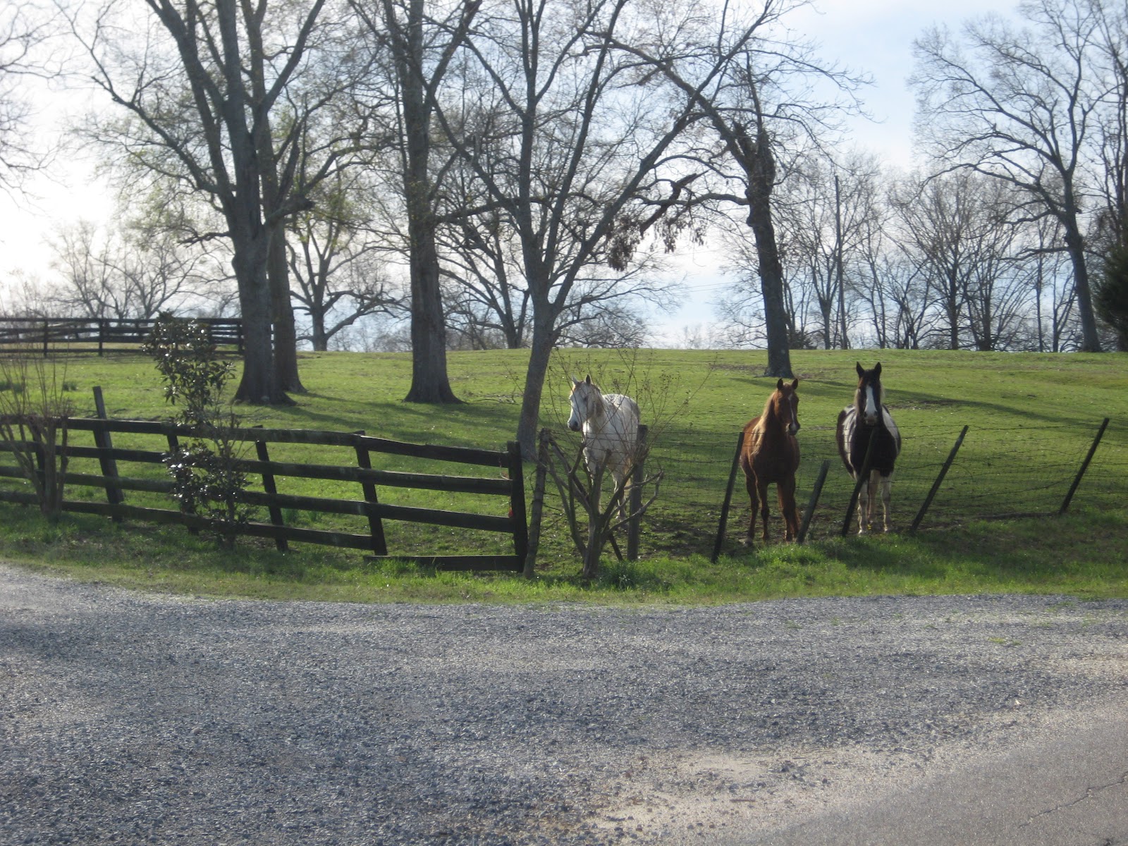 Interested Spectators