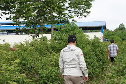 Ridwan Rumasukun Ajak Petani Keerom Manfaatkan Pabrik Petatas Terbengkalai di Arsopura