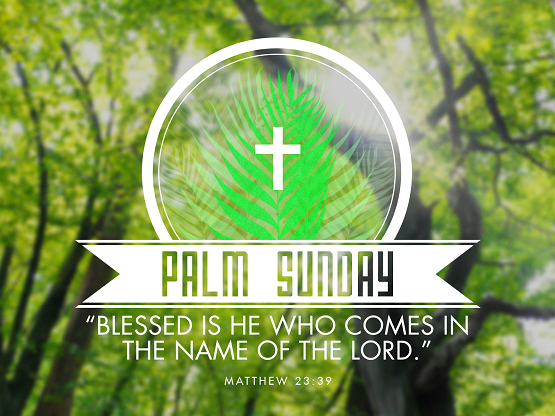 Happy Palm Sunday Quotes, Images And Messages for facebook, Whatsapp