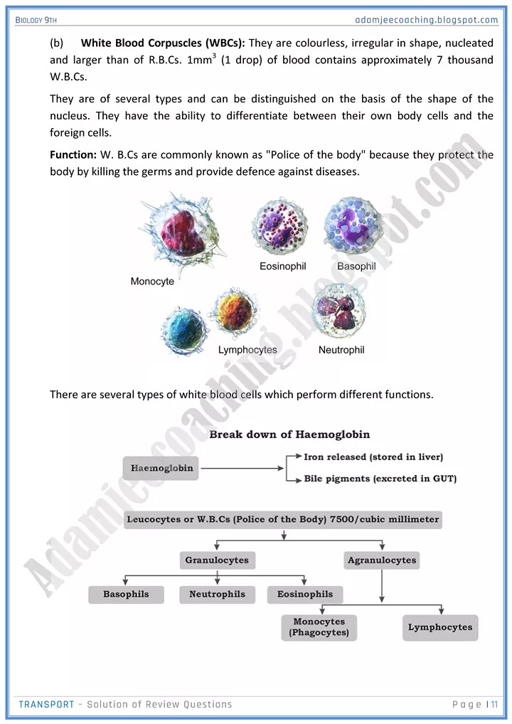 transport-review-question-answers-biology-9th