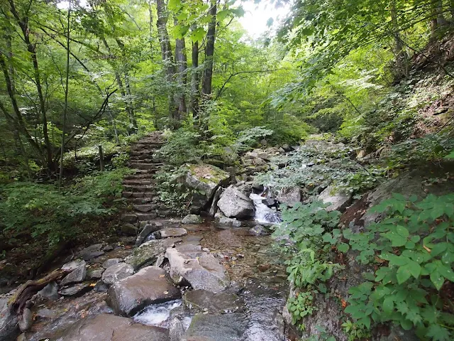 三頭山　登山道