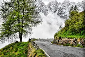 cycling gavia pass