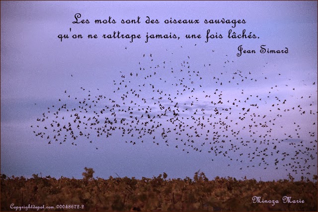 Au Pays Des Images Et Des Mots Citation D Ecrivain Jean Simord Les Mots Sont Des Oiseaux