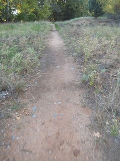 035dev-DSCF4596
