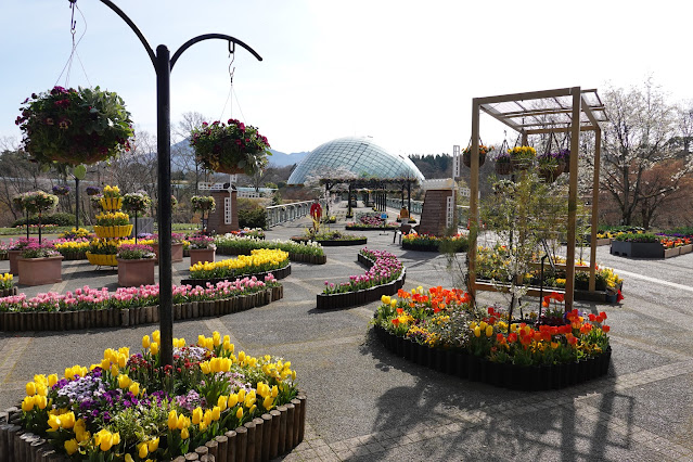 鳥取県西伯郡南部町鶴田 とっとり花回廊 エントランス展示