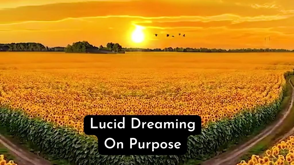 Is It Possible To Have a Lucid Dream on Purpose