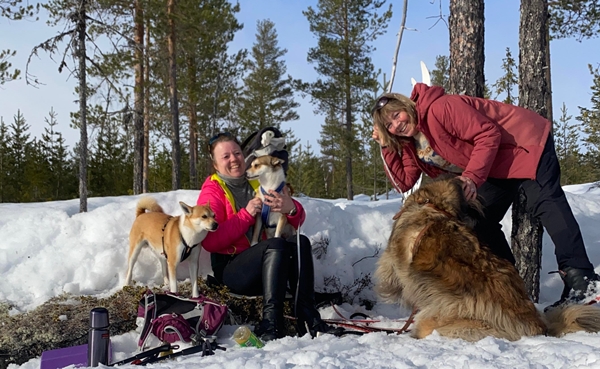 skitur slåttemyri  lundehund leonberger