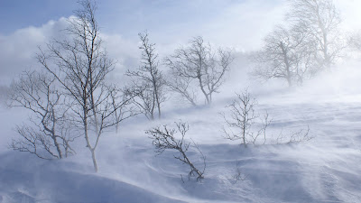 Windy Winter Day download free wallpapers for HD desktop