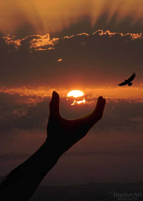 Hand, sun and eagle- photo manipulation