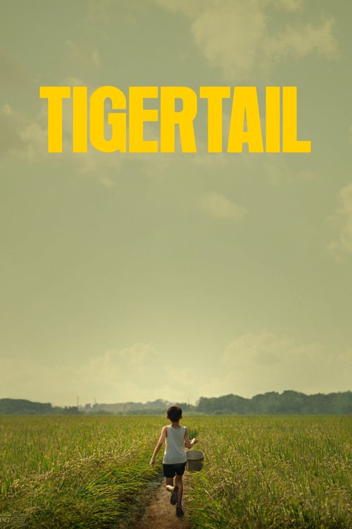 Regarder Tigertail 2020 Film Complet En Francais