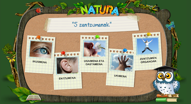 http://www.lapecera.eu/natura/ZENTZUMENAK/index.html