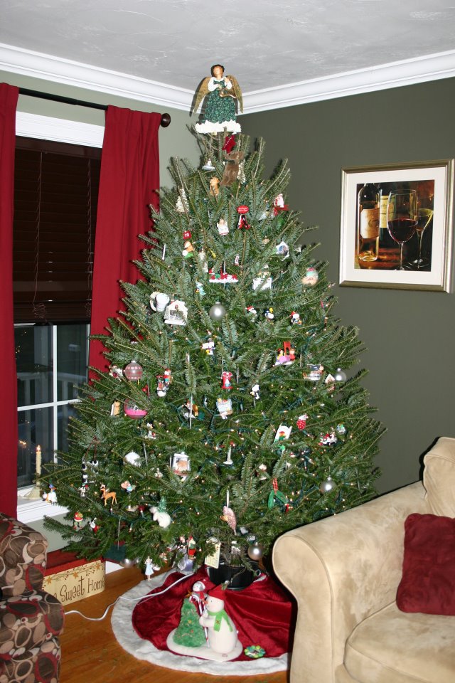 Macam Macam Pohon Natal Yang Indah 2014 Kata Ilmu