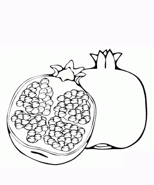 Red Pomegranate Seeds Coloring Pages Picture | Fantasy  