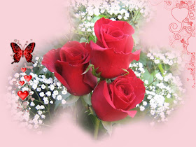 Nice Red Rose Flower Wallpaper